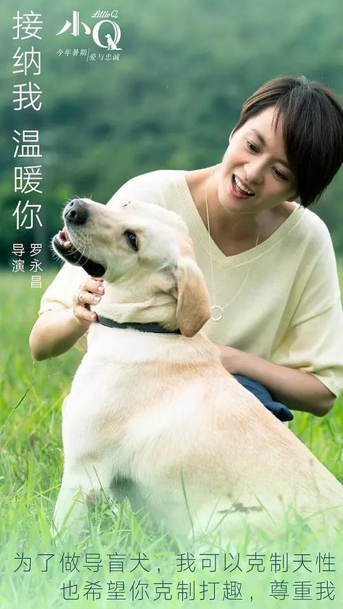 定制亚美尼亚